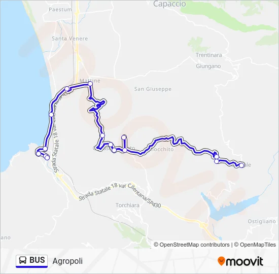 BUS Line Map