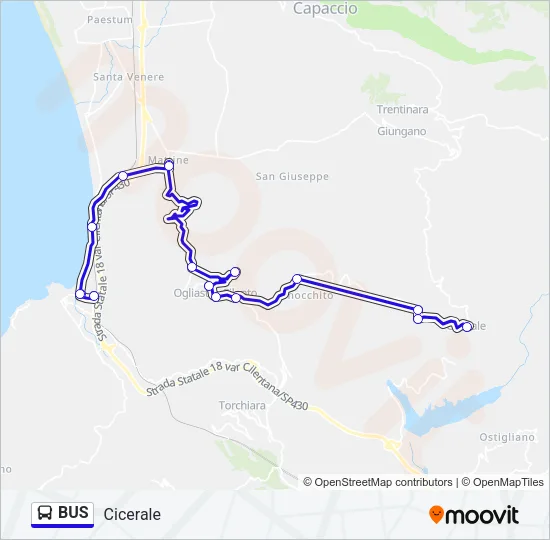 Mappa della linea BUS