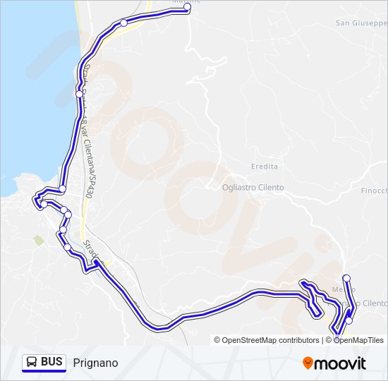 BUS Line Map