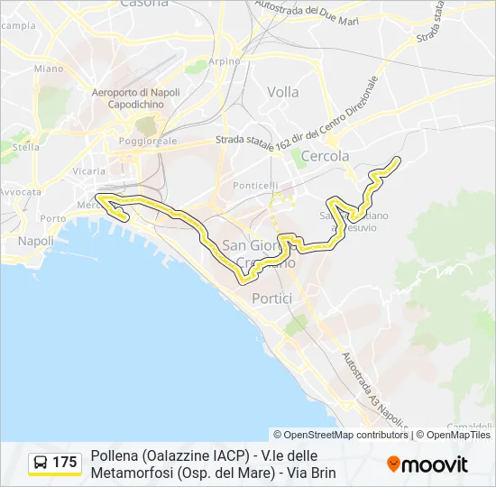 175 Bus Line Map