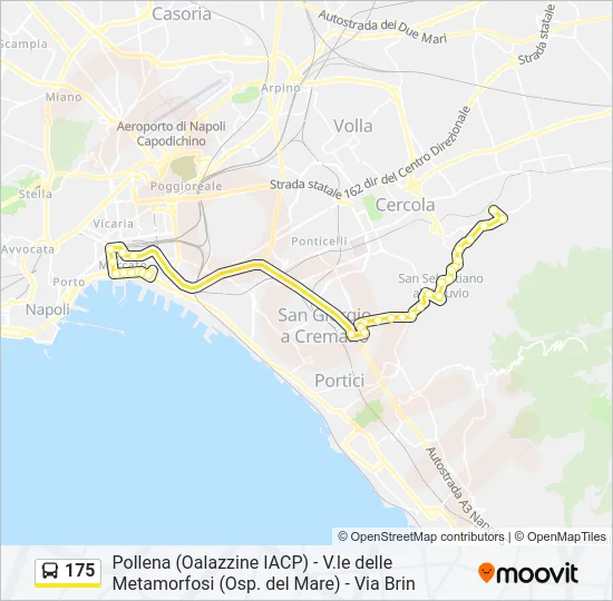 175 Bus Line Map