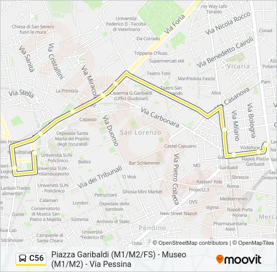 C56 Bus Line Map