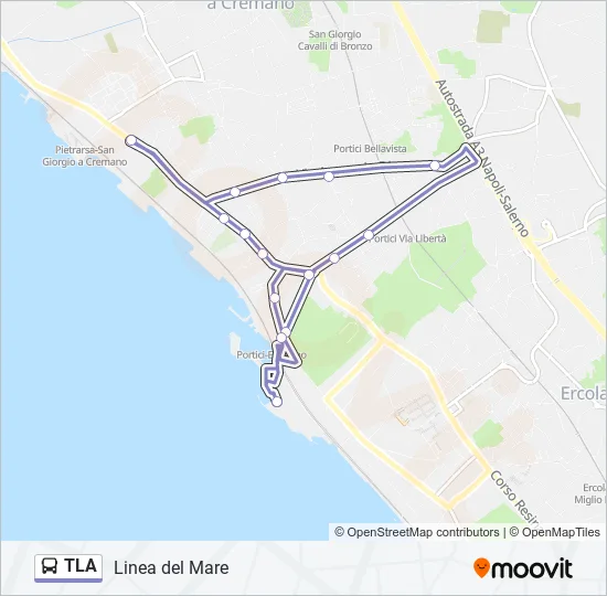 TLA Bus Line Map