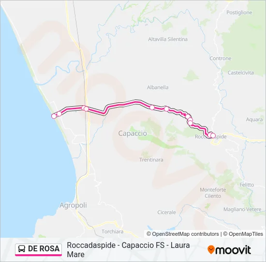 DE ROSA Bus Line Map