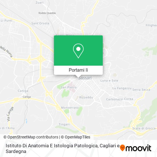 Mappa Istituto Di Anatomia E Istologia Patologica