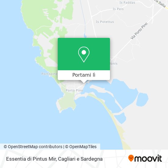 Mappa Essentia di Pintus Mir