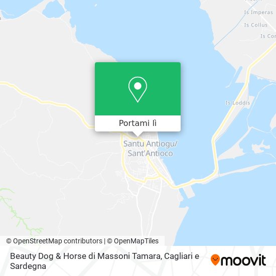 Mappa Beauty Dog & Horse di Massoni Tamara