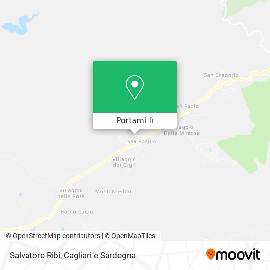 Mappa Salvatore Ribi