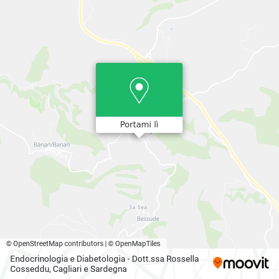 Mappa Endocrinologia e Diabetologia - Dott.ssa Rossella Cosseddu