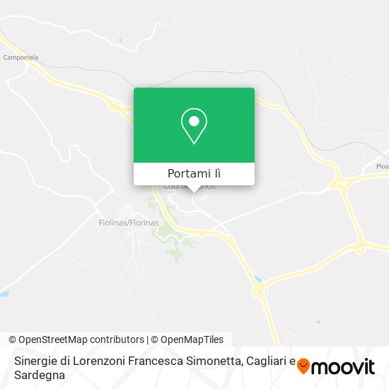 Mappa Sinergie di Lorenzoni Francesca Simonetta