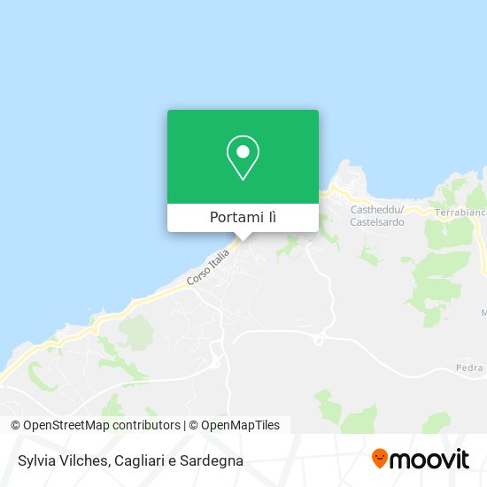 Mappa Sylvia Vilches