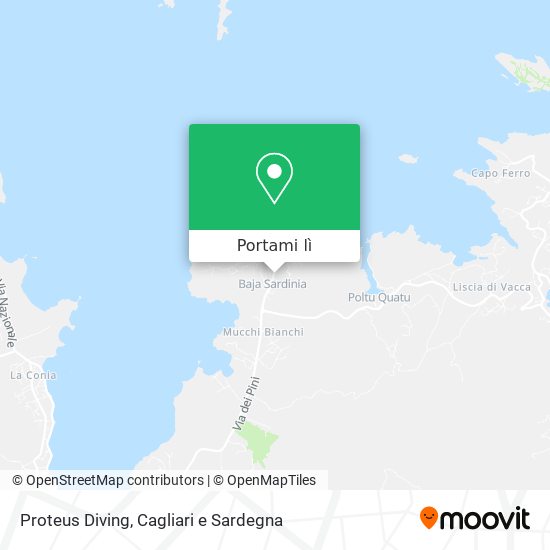 Mappa Proteus Diving
