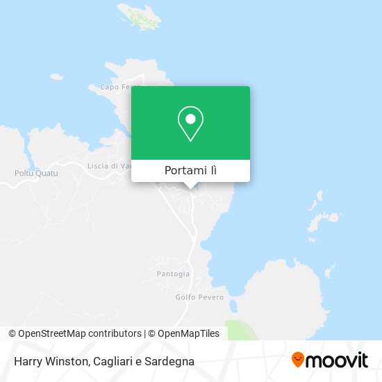 Mappa Harry Winston