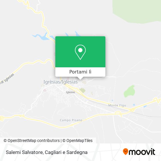 Mappa Salemi Salvatore