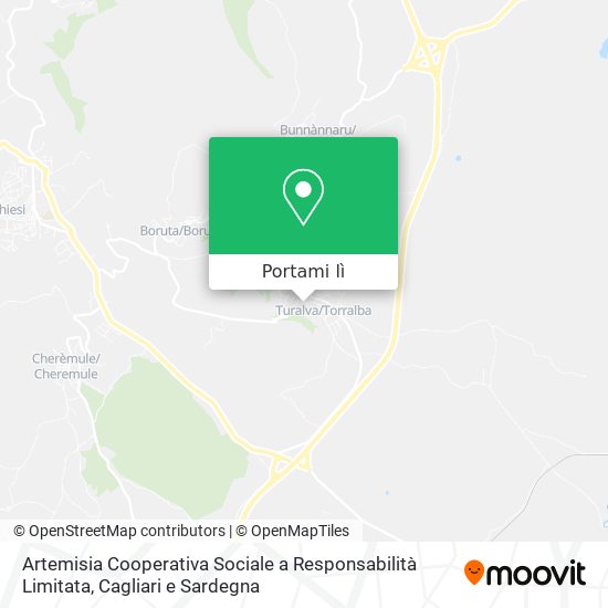 Mappa Artemisia Cooperativa Sociale a Responsabilità Limitata