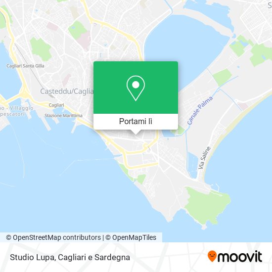Mappa Studio Lupa