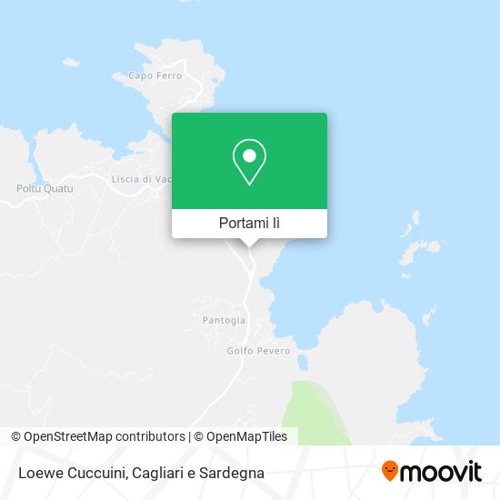 Mappa Loewe Cuccuini