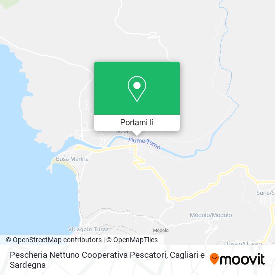 Mappa Pescheria Nettuno Cooperativa Pescatori