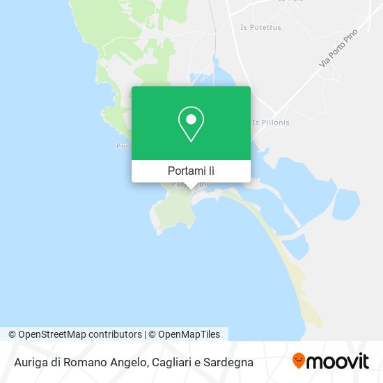 Mappa Auriga di Romano Angelo