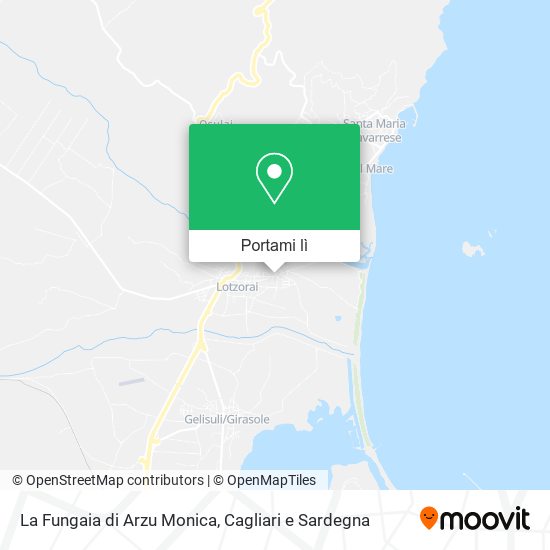 Mappa La Fungaia di Arzu Monica