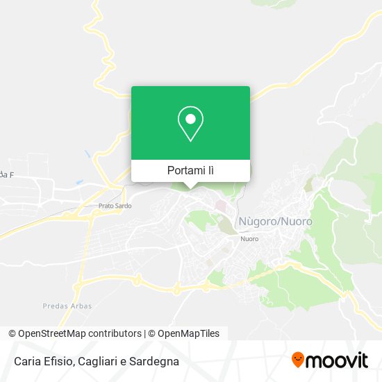 Mappa Caria Efisio