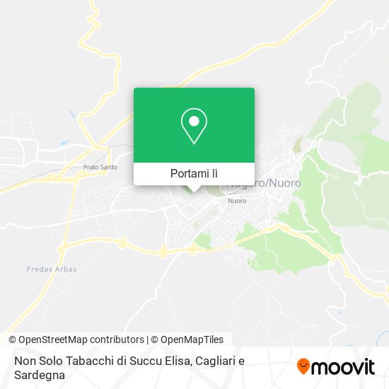 Mappa Non Solo Tabacchi di Succu Elisa