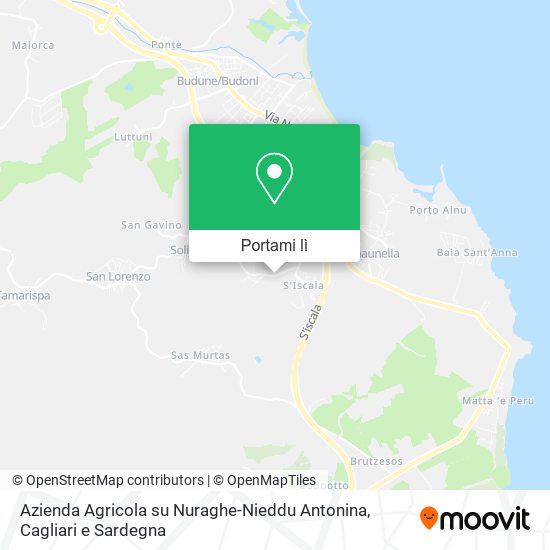 Mappa Azienda Agricola su Nuraghe-Nieddu Antonina