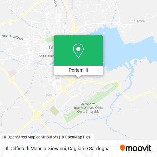 Mappa Il Delfino di Mannia Giovanni