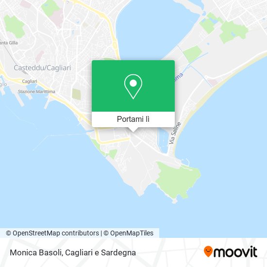 Mappa Monica Basoli