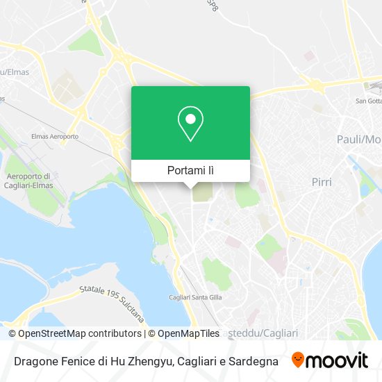 Mappa Dragone Fenice di Hu Zhengyu