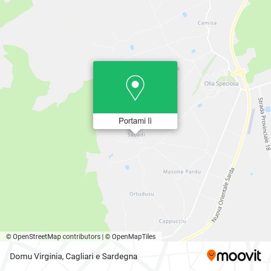 Mappa Domu Virginia