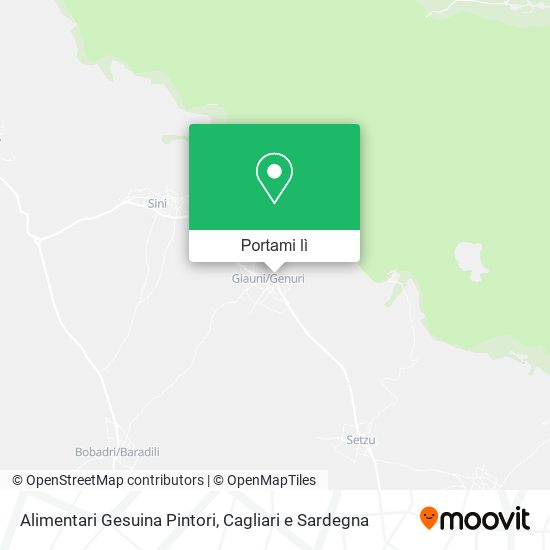 Mappa Alimentari Gesuina Pintori