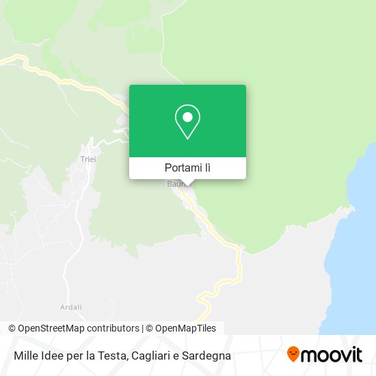 Mappa Mille Idee per la Testa