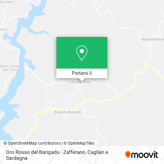 Mappa Oro Rosso del Barigadu - Zafferano