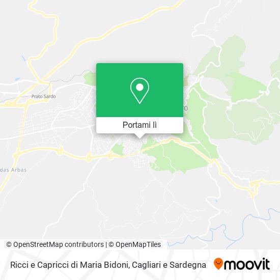 Mappa Ricci e Capricci di Maria Bidoni