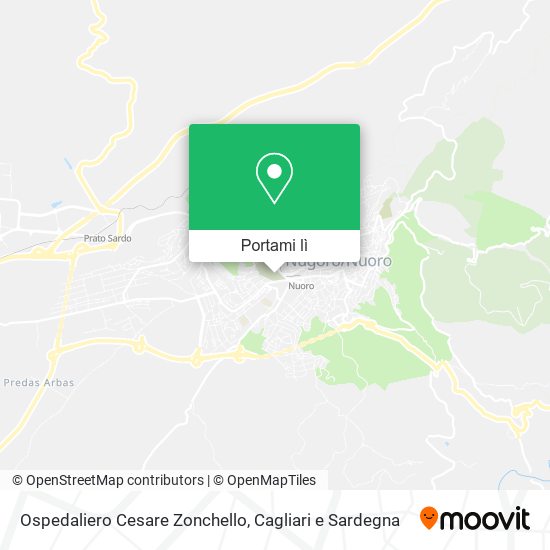 Mappa Ospedaliero Cesare Zonchello