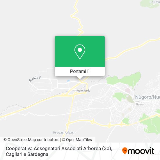 Mappa Cooperativa Assegnatari Associati Arborea (3a)