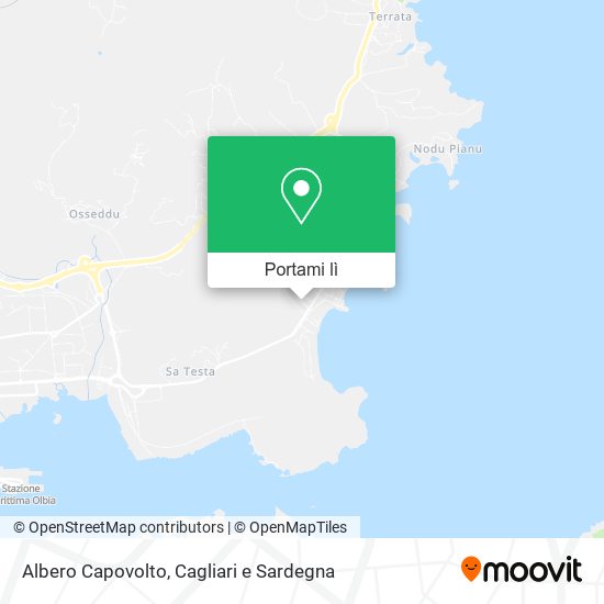 Mappa Albero Capovolto