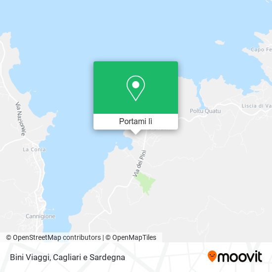 Mappa Bini Viaggi
