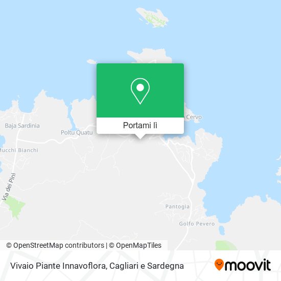 Mappa Vivaio Piante Innavoflora