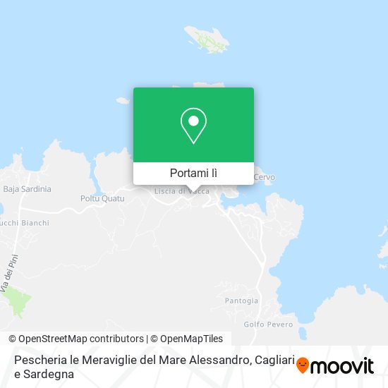 Mappa Pescheria le Meraviglie del Mare Alessandro