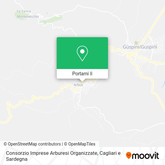 Mappa Consorzio Imprese Arburesi Organizzate