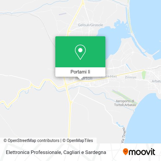Mappa Elettronica Professionale