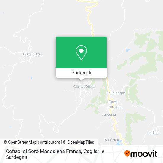 Mappa Cofiso. di Soro Maddalena Franca