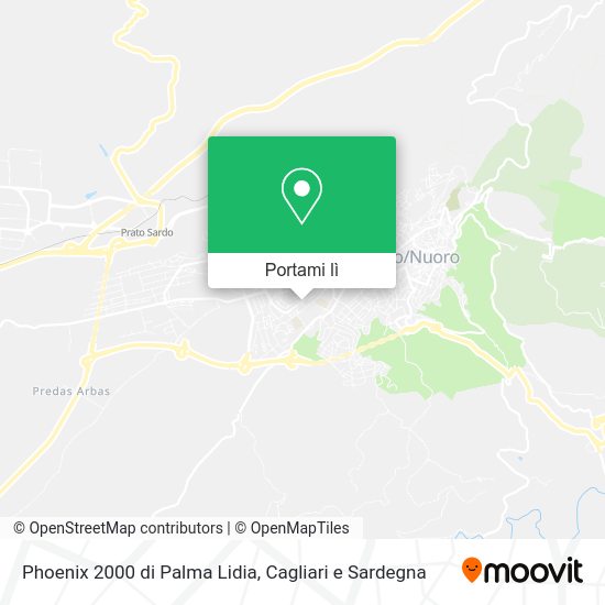 Mappa Phoenix 2000 di Palma Lidia