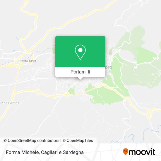 Mappa Forma Michele