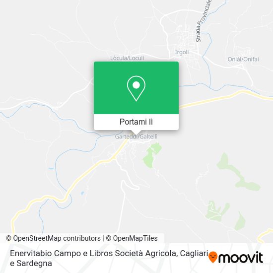 Mappa Enervitabio Campo e Libros Società Agricola