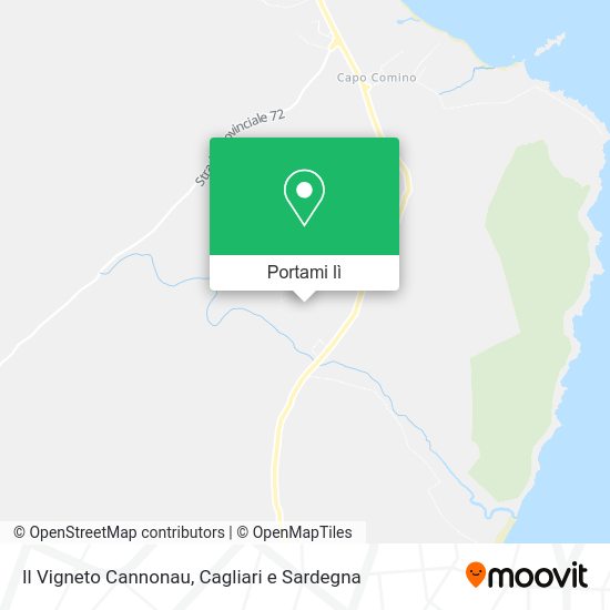 Mappa Il Vigneto Cannonau