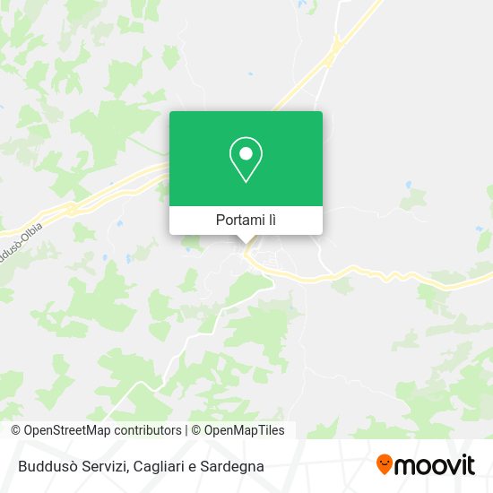 Mappa Buddusò Servizi