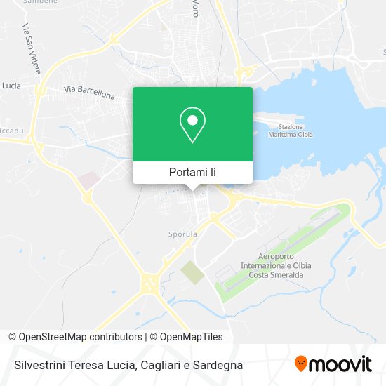 Mappa Silvestrini Teresa Lucia